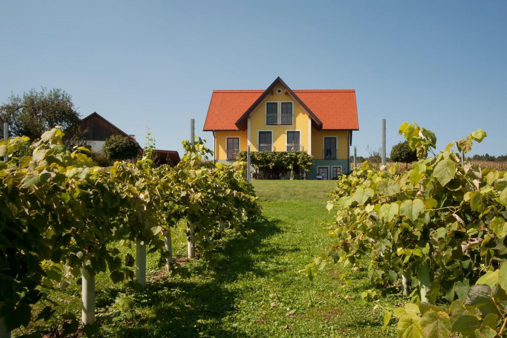 Weingut Winzerhof Gaestezimmer Grebenz Grossklein Exterior foto